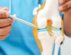 Close up view of a surgeon in blue uniform holding the model of a knee joint in one hand, touching it with a pen held on the other hand.