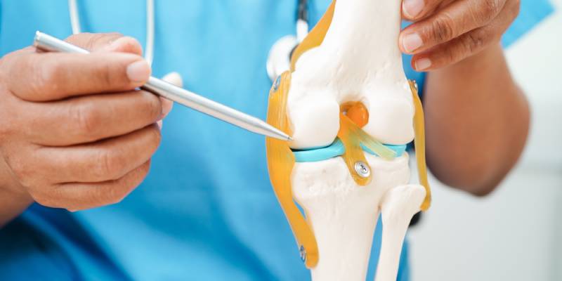 Close up view of a surgeon in blue uniform holding the model of a knee joint in one hand, touching it with a pen held on the other hand.